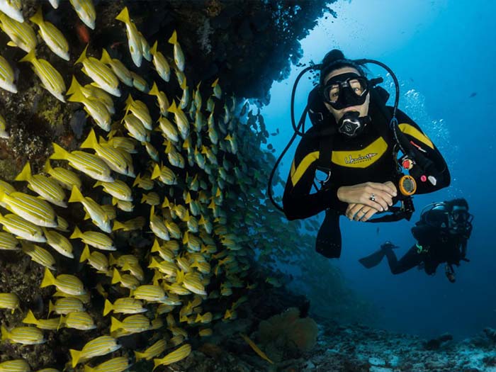 Tortuga Island and Scuba Diving from Montezuma, Costa Rica