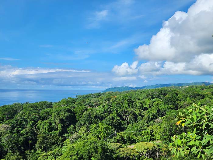 Zip Line in Montezuma, Costa Rica