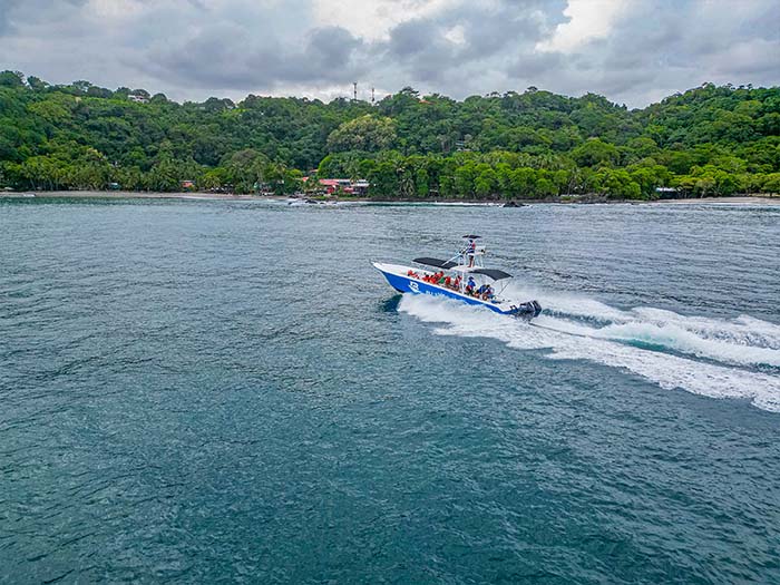 Bioluminescence Tour from Montezuma to Playa Muertos, Costa Rica